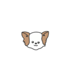わため（個別スタンプ：17）