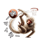 日本猿×バスケットボール！3Dリアル（個別スタンプ：4）