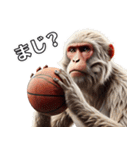 日本猿×バスケットボール！3Dリアル（個別スタンプ：22）