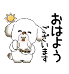 犬さん 2025 「飛び出す」よく使う言葉（個別スタンプ：1）