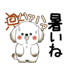 犬さん 2025 「飛び出す」よく使う言葉（個別スタンプ：3）