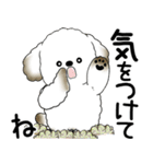 犬さん 2025 「飛び出す」よく使う言葉（個別スタンプ：7）