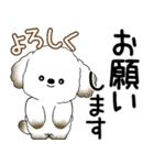 犬さん 2025 「飛び出す」よく使う言葉（個別スタンプ：8）