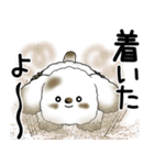 犬さん 2025 「飛び出す」よく使う言葉（個別スタンプ：10）