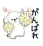 犬さん 2025 「飛び出す」よく使う言葉（個別スタンプ：11）