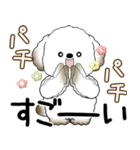 犬さん 2025 「飛び出す」よく使う言葉（個別スタンプ：14）