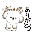 犬さん 2025 「飛び出す」よく使う言葉（個別スタンプ：17）