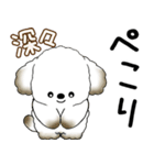 犬さん 2025 「飛び出す」よく使う言葉（個別スタンプ：18）