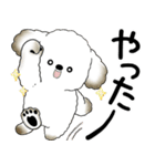 犬さん 2025 「飛び出す」よく使う言葉（個別スタンプ：19）