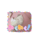 うごくちっちちゃん（個別スタンプ：2）