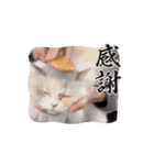 うごくちっちちゃん（個別スタンプ：7）