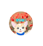 動く！チワワちゃん（個別スタンプ：5）