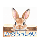 大人可愛い敬語うさぎスタンプ（個別スタンプ：9）