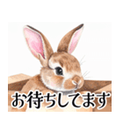 大人可愛い敬語うさぎスタンプ（個別スタンプ：17）