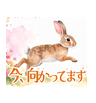 大人可愛い敬語うさぎスタンプ（個別スタンプ：25）