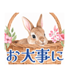 大人可愛い敬語うさぎスタンプ（個別スタンプ：33）