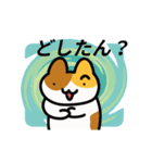 動く！カラフル背景三毛猫（個別スタンプ：7）