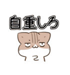 毎日五月病なねこたち でか文字スタンプ3（個別スタンプ：21）