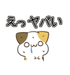 毎日五月病なねこたち でか文字スタンプ3（個別スタンプ：34）