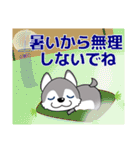 優しい大人の気づかいシベリアンハスキー夏（個別スタンプ：5）
