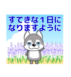 優しい大人の気づかいシベリアンハスキー夏（個別スタンプ：7）