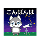 優しい大人の気づかいシベリアンハスキー夏（個別スタンプ：13）