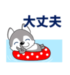 優しい大人の気づかいシベリアンハスキー夏（個別スタンプ：19）