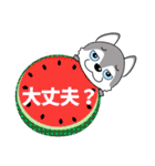 優しい大人の気づかいシベリアンハスキー夏（個別スタンプ：25）