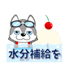優しい大人の気づかいシベリアンハスキー夏（個別スタンプ：28）