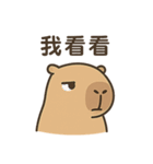 厭世カピバラ日常（個別スタンプ：25）