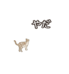 ねこのっそ（個別スタンプ：6）