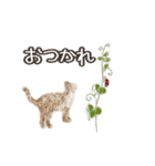 ねこのっそ（個別スタンプ：11）