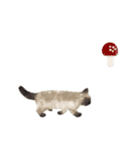ねこのっそ（個別スタンプ：12）