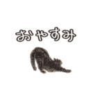 ねこのっそ（個別スタンプ：13）