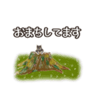 ねこのっそ（個別スタンプ：14）
