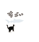 ねこのっそ（個別スタンプ：20）
