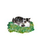 ねこのっそ（個別スタンプ：22）