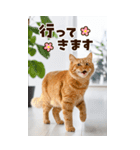 ❤ねこ写真❤ かわいく伝えるスタンプ3（個別スタンプ：7）