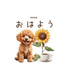 夏のトイプードル・カスタムスタンプ（個別スタンプ：1）