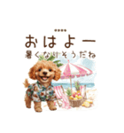 夏のトイプードル・カスタムスタンプ（個別スタンプ：2）