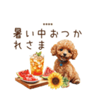 夏のトイプードル・カスタムスタンプ（個別スタンプ：3）