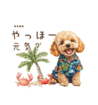 夏のトイプードル・カスタムスタンプ（個別スタンプ：5）