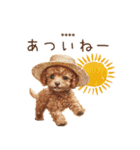 夏のトイプードル・カスタムスタンプ（個別スタンプ：7）
