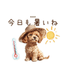 夏のトイプードル・カスタムスタンプ（個別スタンプ：8）
