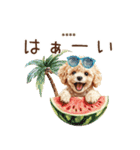 夏のトイプードル・カスタムスタンプ（個別スタンプ：11）
