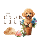 夏のトイプードル・カスタムスタンプ（個別スタンプ：14）
