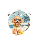 夏のトイプードル・カスタムスタンプ（個別スタンプ：16）
