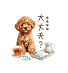夏のトイプードル・カスタムスタンプ（個別スタンプ：17）