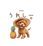 夏のトイプードル・カスタムスタンプ（個別スタンプ：22）
