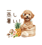 夏のトイプードル・カスタムスタンプ（個別スタンプ：29）